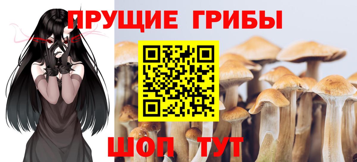 Псилоцибиновые грибы MAGIC MUSHROOMS  купить наркотик  Вход с VPN  Азнакаево  Галлюциногенные грибы GOLDEN TEACHER 