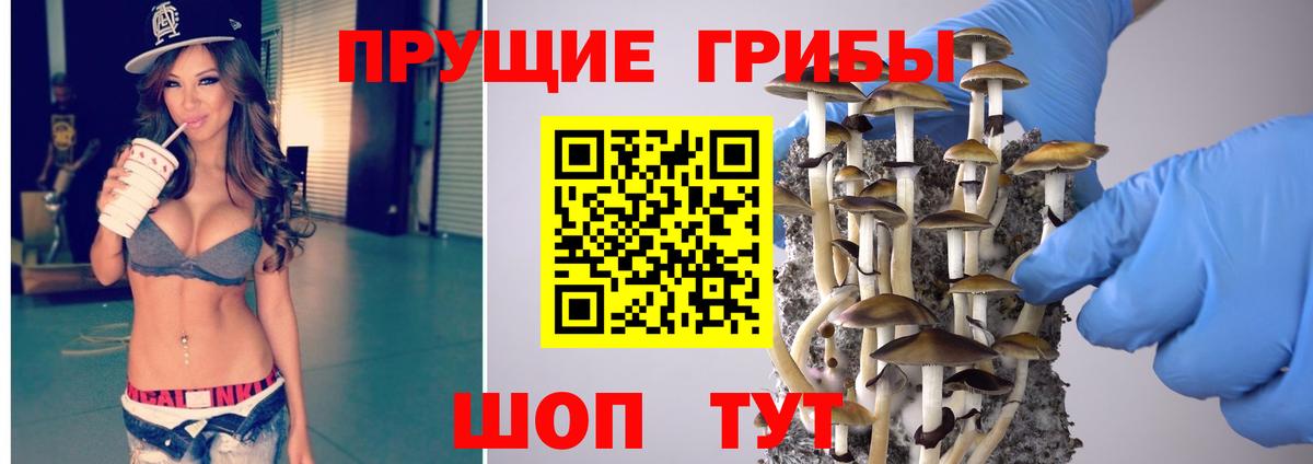 Галлюциногенные грибы Magic Shrooms Азнакаево